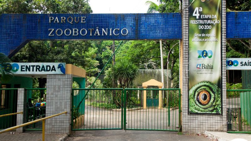 Zoológico de Salvador